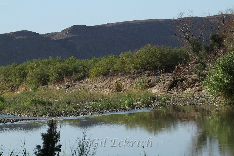 Rio Grande shallow 2011_07_16_1580.jpg